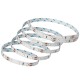 LED Strip 12V – Enkelkleur, RGB, RGBW, RGB+CCT – IP20 / IP65 / IP68