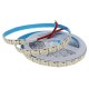 LED Strip 24V – Enkelkleur, RGB, RGBW, RGB+CCT – IP20 / IP65 / IP68